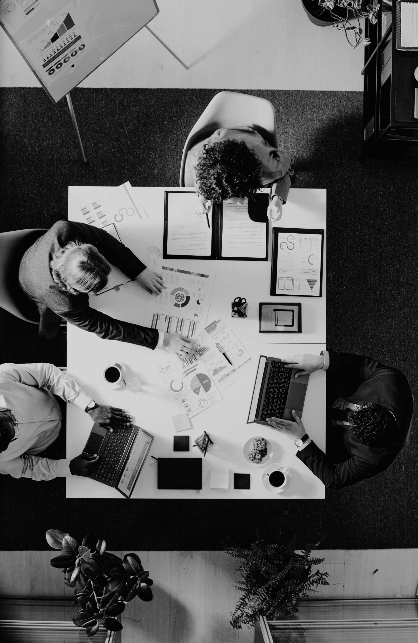 Untitled design - 2026-01-30T151702.305 (1)